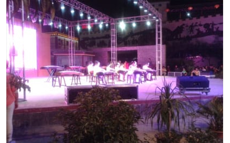 律動青春 放飛夢想 敦煌陳思思古箏藝?！坝瓏鴳c”專場文藝演出